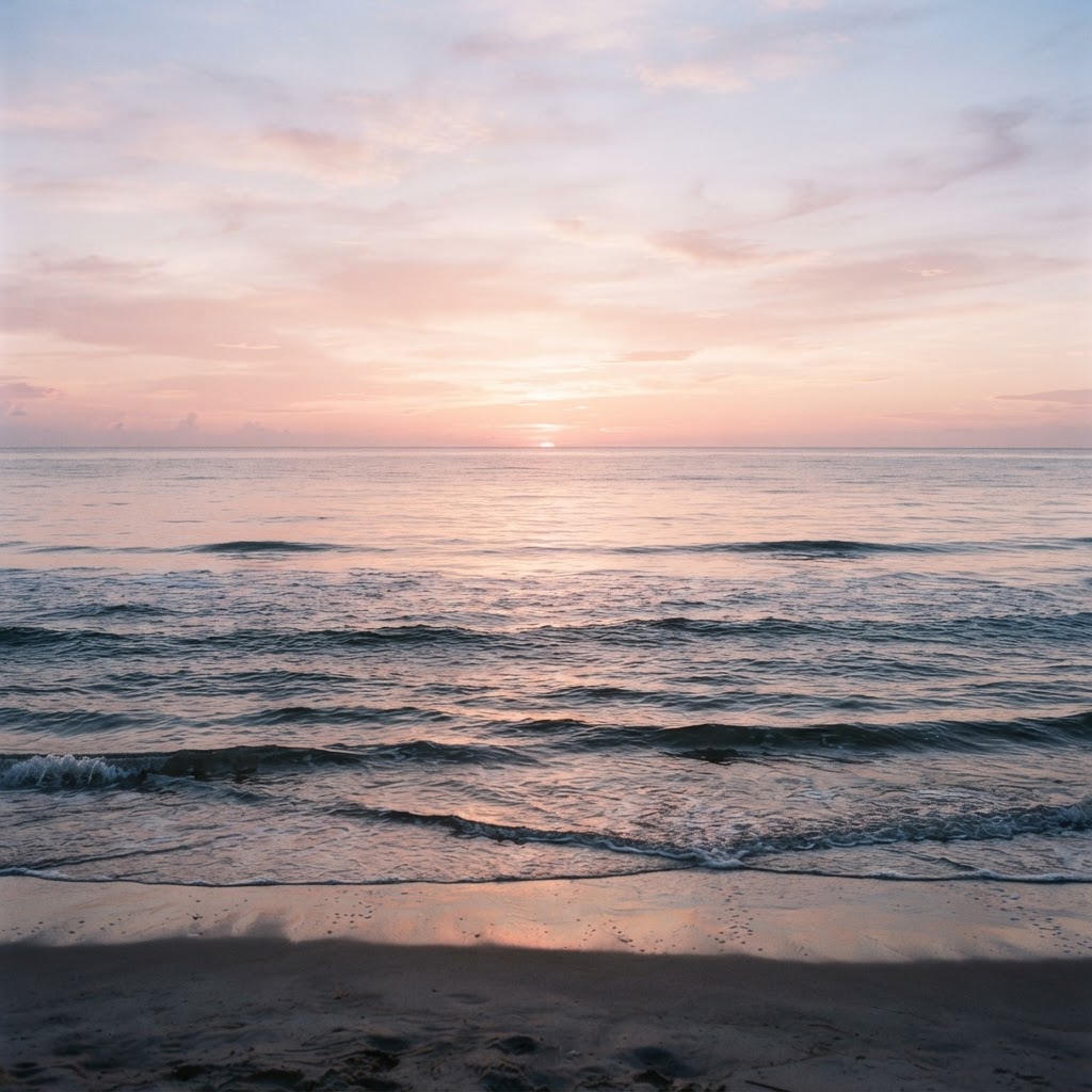 Daily Ocean image